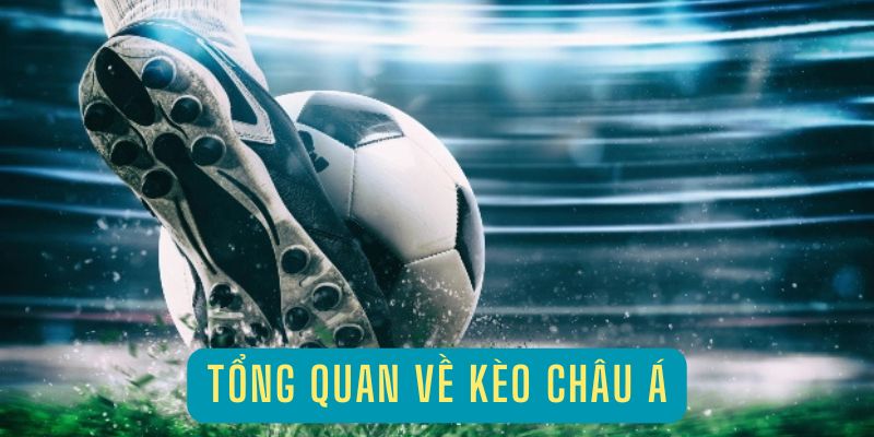 Tổng quan về loại kèo châu Á hấp dẫn